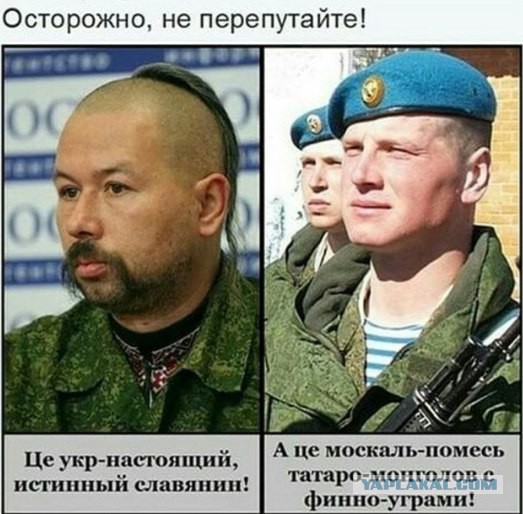 А почему все русские - мордва?