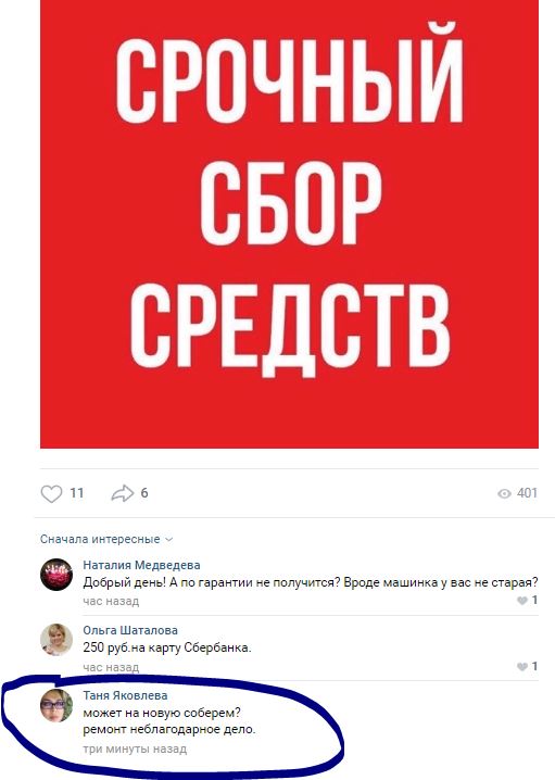 Помогите вернуть кота! Приют "Преданное сердце" украл кота и не отдает!-2