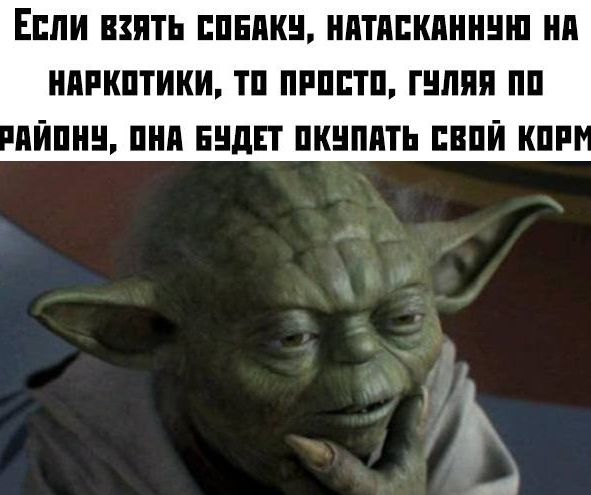 Чуток картинок! 22.12.19