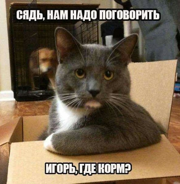 Нифинасебе! И другие выражения лиц