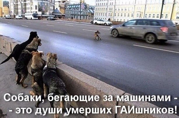 Пара-пара-пам! Фьють. Картинки с надписями 24.02.20