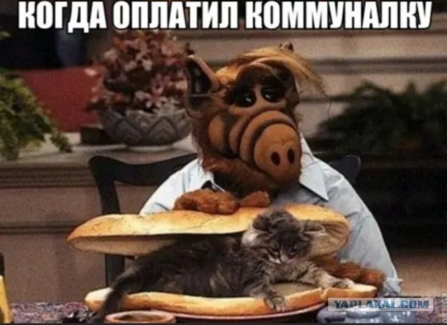 Чуток картинок 20.05.20