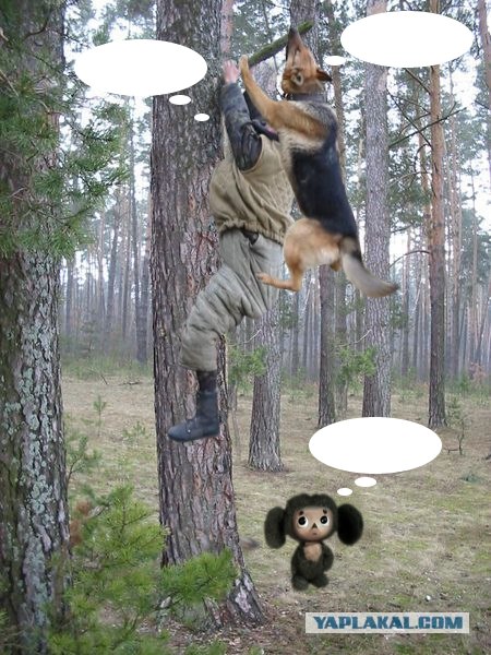 Фотожаба: Охотник и его верный пес