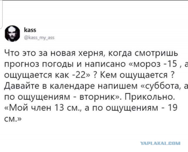 Подборка баянов