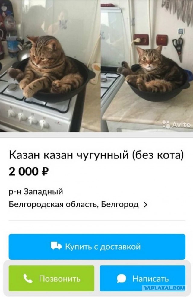 Дурдом 3