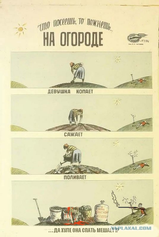 На огороде
