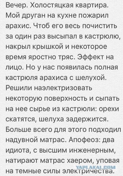 Бредзона 21.08.2020