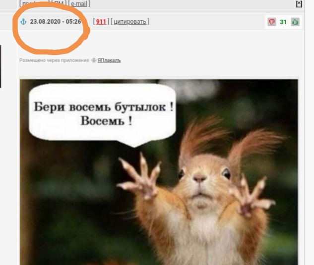 Бредзона 25.08.2020