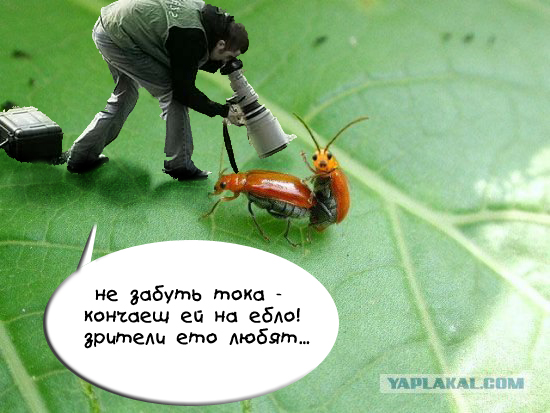 Он как бы нам машет?