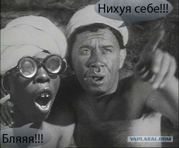 Афроботанический бунт.Фотожаба