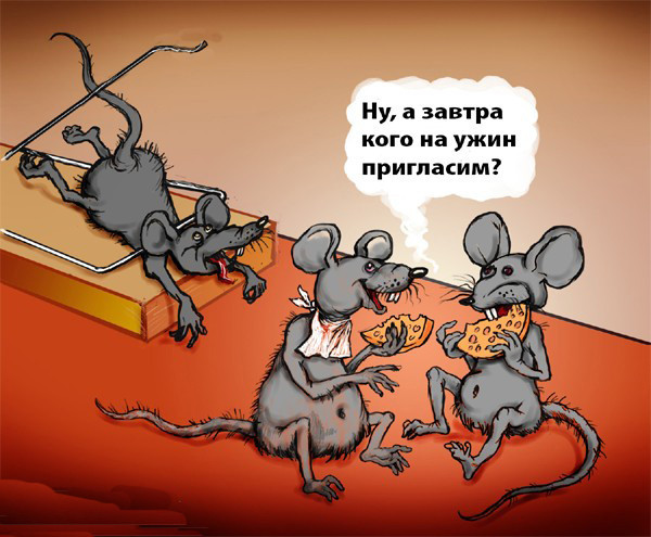 Дамы и Господа, какое порекомендуете вино  к сыру?