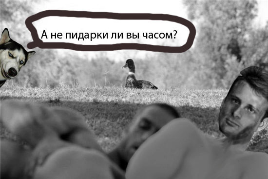 Фотожаба: Тут медвед не проходил?