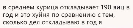 Бредзона 16.12.2020