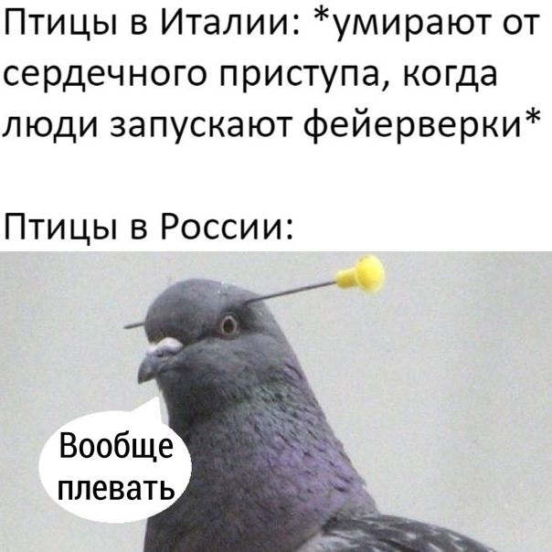 Картинки с надписями и всякие жизненные фразы 6.01.2021