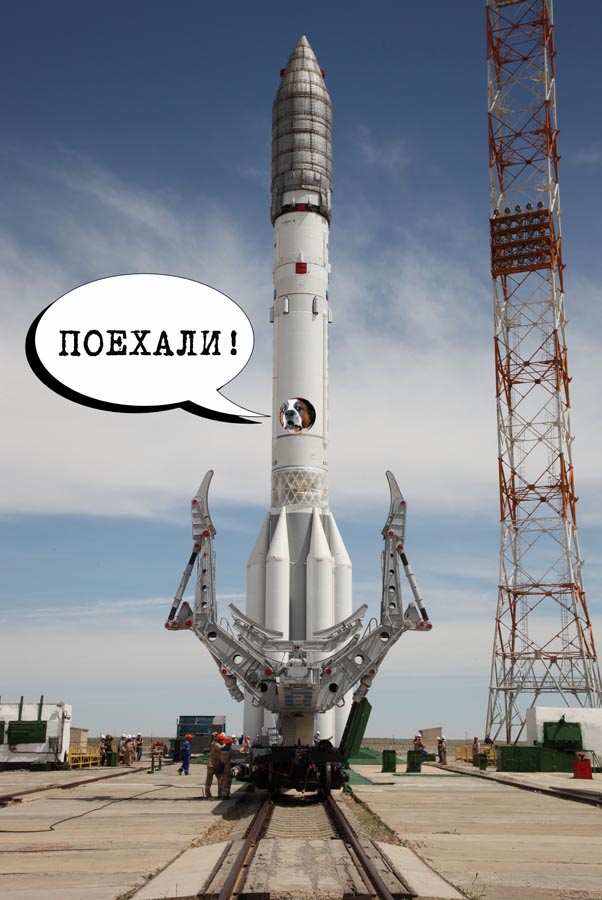 Фотожаба "Собакевич в окне"