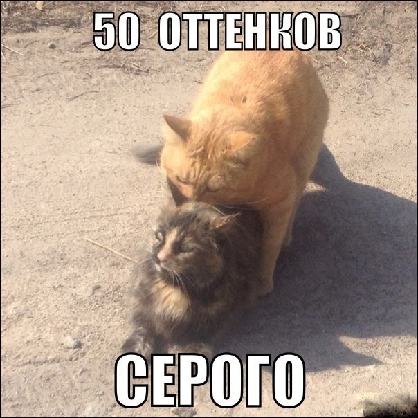 Так себе картинки 23.05.21
