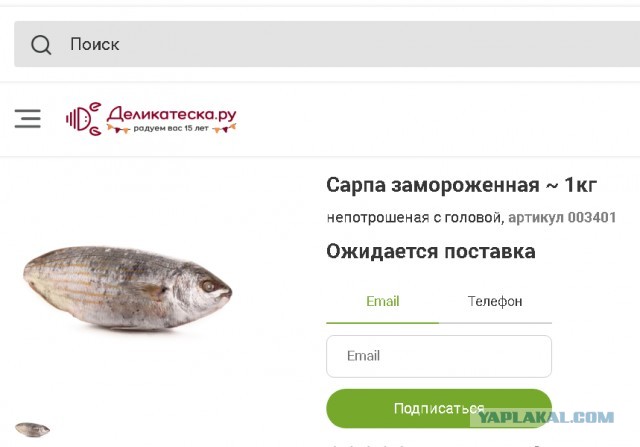 Страх и ненависть в Древнем Риме: галлюциногенная рыба, которой упарывались в античности