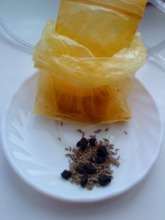 Все из рыбы!