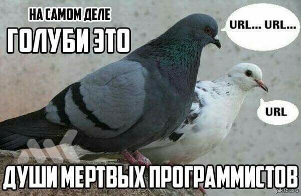 Самый важный пешеход