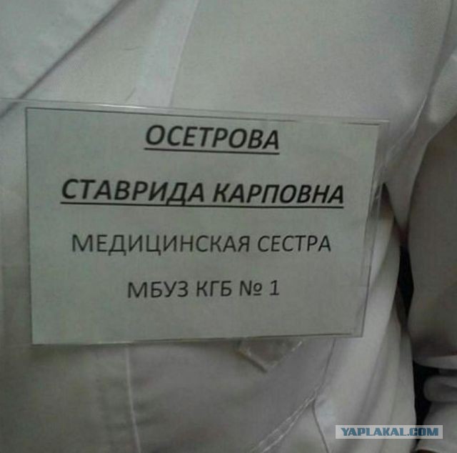 Так себе картинки 13.07.21