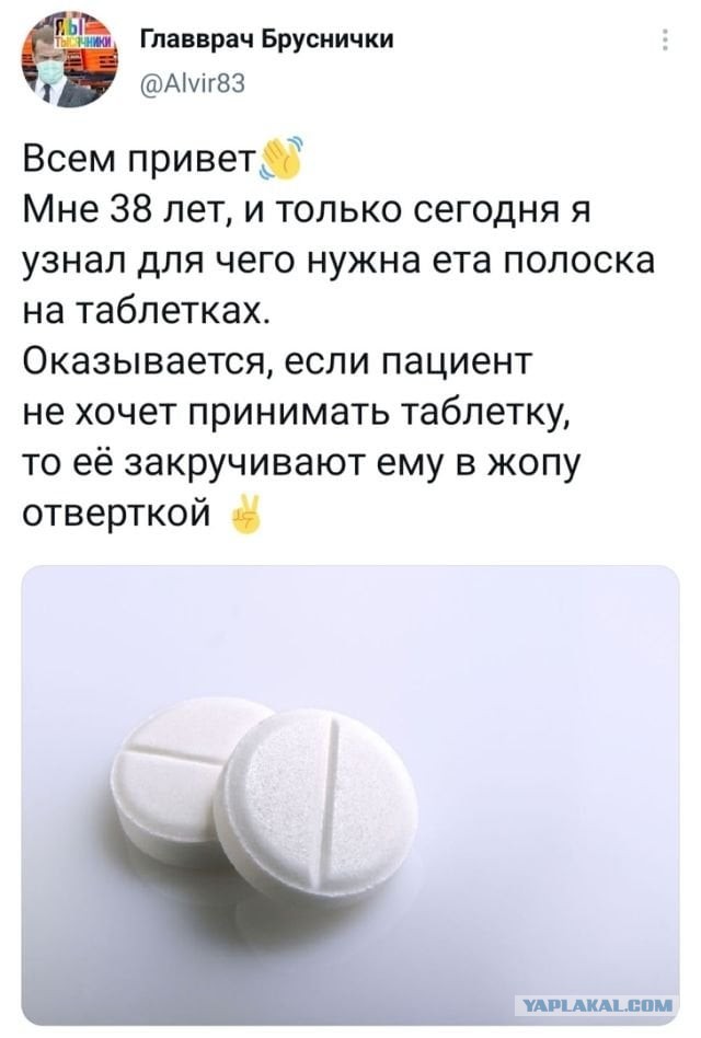 Весёлый полтишок 20.07