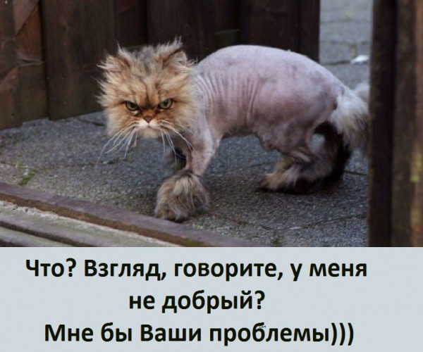 Так себе картинки 11.08.21