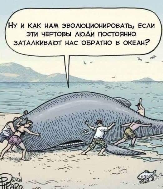Весёлый полтишок 16.08