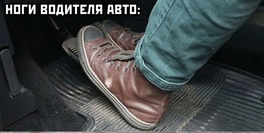 Весёлый полтишок 11.09