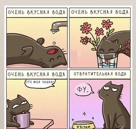 Так себе картинки 10.03.22