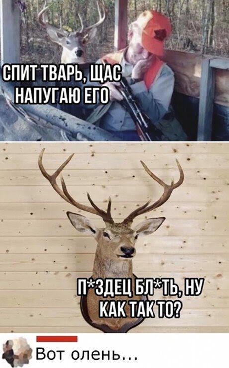 50 оттенков серого.  Vol. 6 Или самосвал баянов.  50 штук.