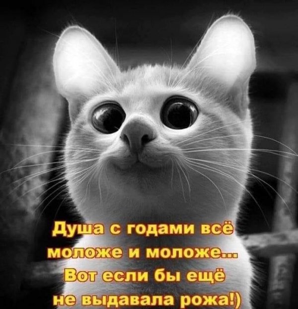 Так себе картинки 24.06.22