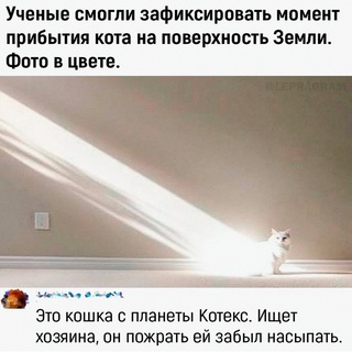 Картинки и мемы для настроения - 21