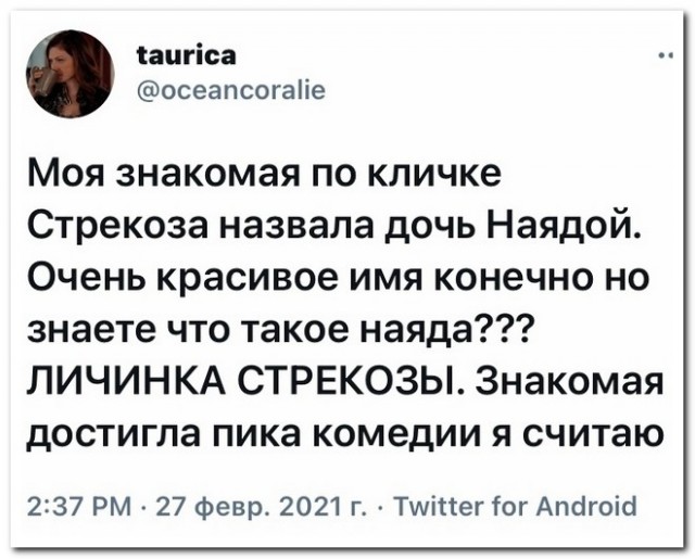 Забавные шутки и картинки из этих ваших интернетов 04.10.2022