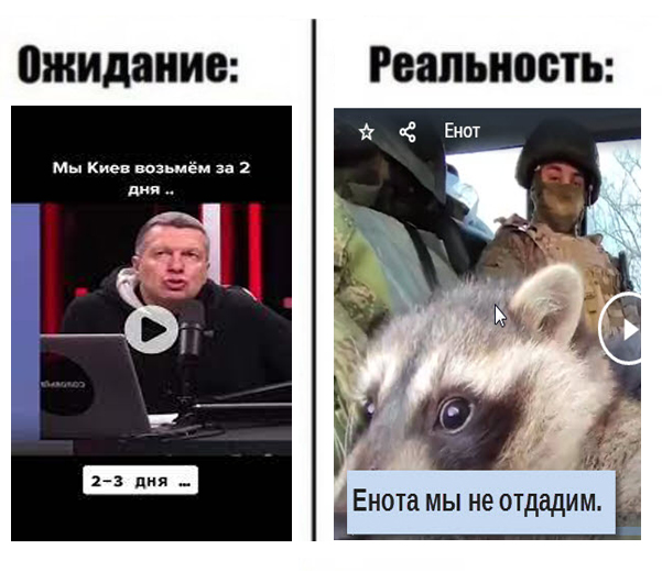 "Енота мы не отдадим. Енот останется с нами. Победа будет за нами, ребят!"