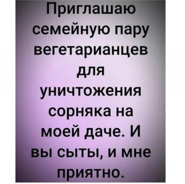 Перлы - 15.01.2023