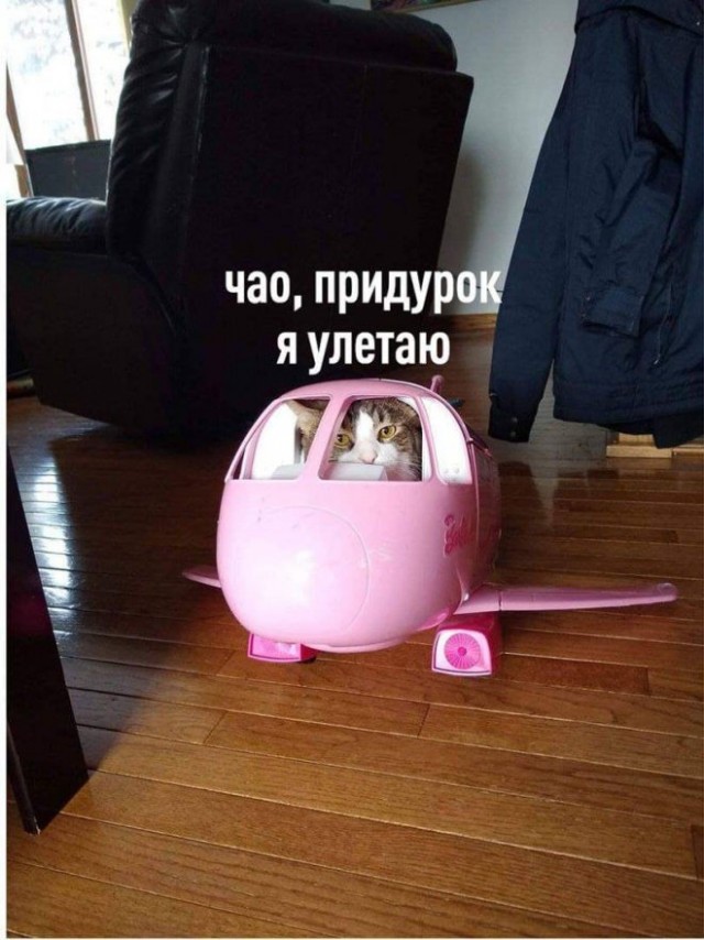 Картинки и мемы, всем хороших выходных