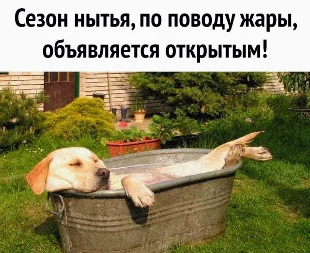 Картинки и мемы, всяко разно - 183