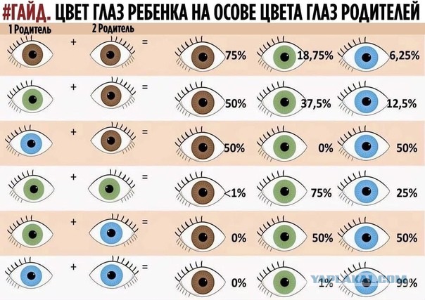 "Профессионально разрушаю семьи"
