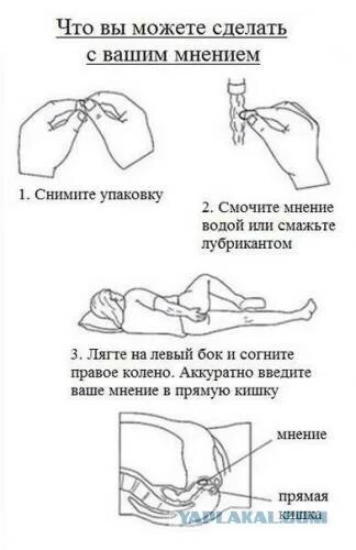 Берегите своих питомцев
