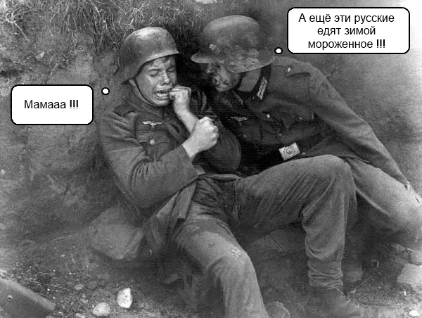 Кто воевал на стороне Гитлера