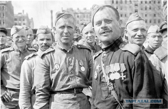 Липовые награды