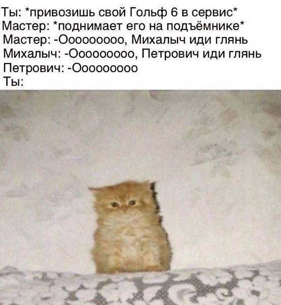 Картиночки, LOL