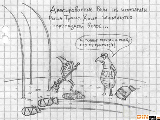 Лысеющий москвич бросил дымовую шашку в клинику по пересадке волос после того, как узнал цены на услуги