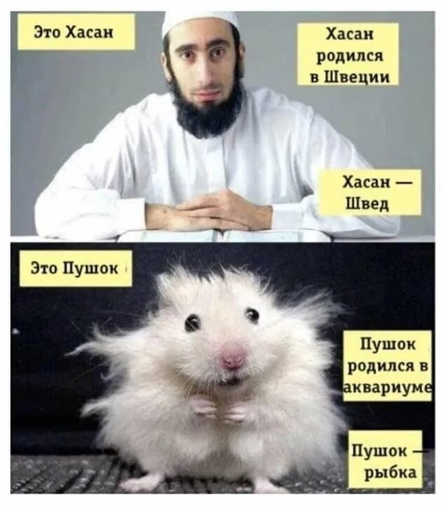 День Туве Янссон