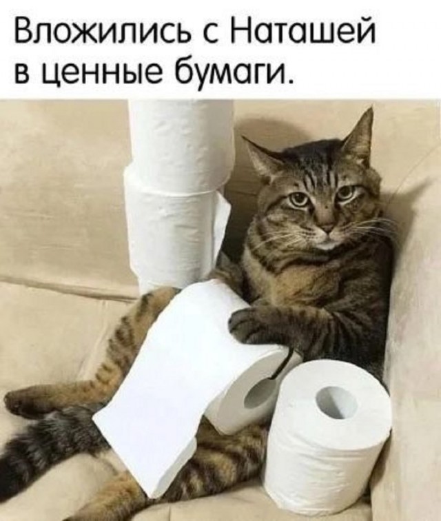 К котовторнику: подборка картинок-баянов с котиками и про котиков. Выпуск 18.