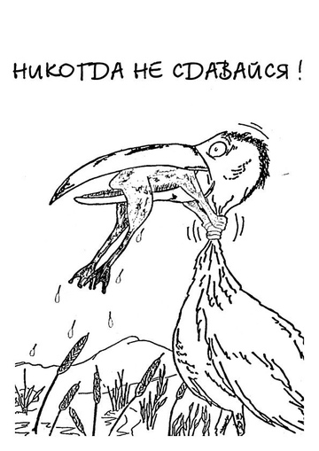Итальянская община