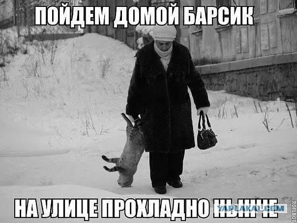 Картиночки, баянчики 24 января