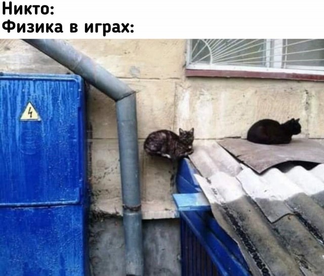 К котовторнику: подборка картинок-баянов с котиками и про котиков. Выпуск 31.