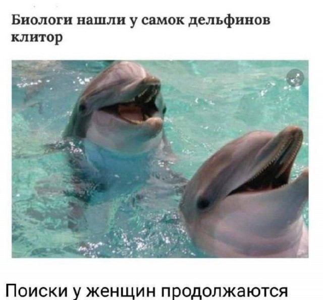 Девушка жалуется: бабы годами не кончают, а мужчины-скорострелы не удовлетворяют