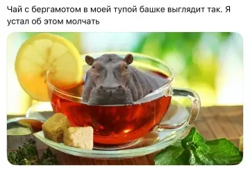 Картиночки, баянчики 27 февраля
